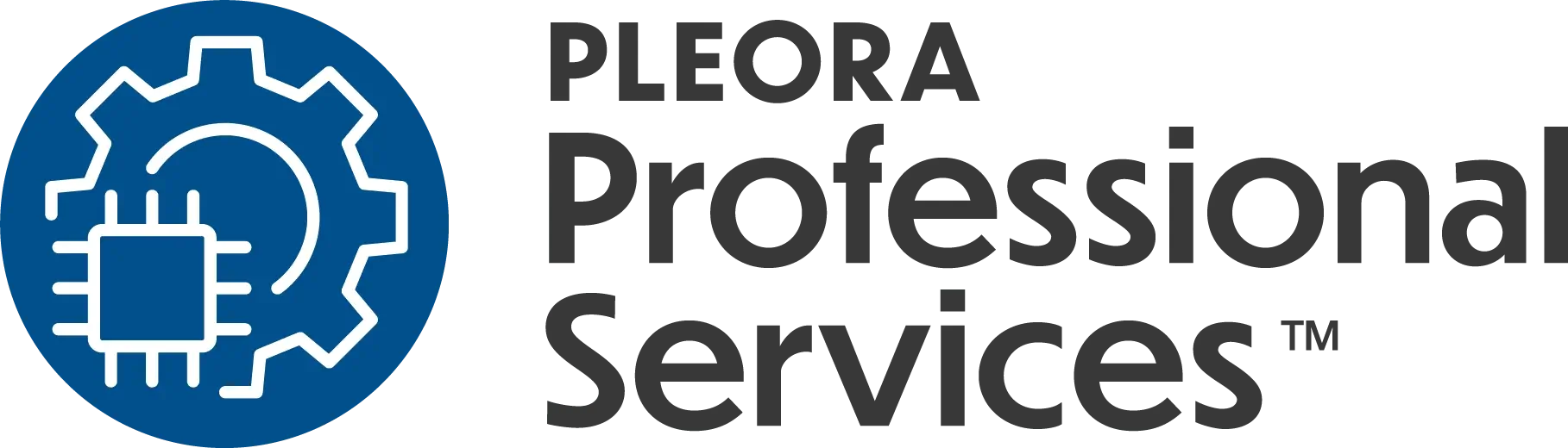 Pleora Professional Services