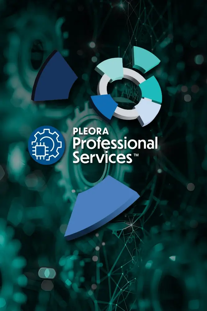Pleora Professional Services